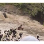 Lonavala waterfall mishap: Pune admin issues advisory for visitors